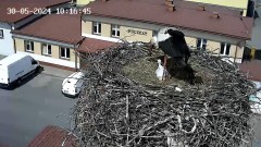 IMG_6730.jpeg
