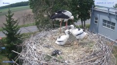 IMG_7032.jpeg