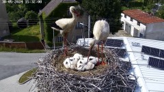 IMG_7164.jpeg