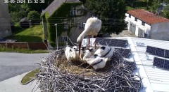 IMG_7168.jpeg