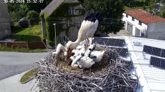 IMG_7170.jpeg