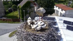 IMG_7174.jpeg
