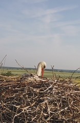 IMG_3004.jpeg
