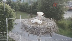 IMG_7336.jpeg