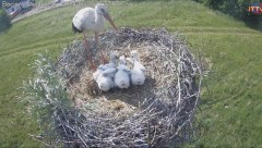 IMG_7232.jpeg