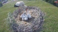 IMG_7236.jpeg