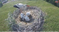 IMG_7243.jpeg