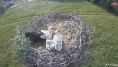 IMG_7320.jpeg