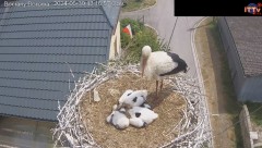 IMG_6989.jpeg