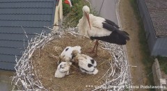 IMG_7013.jpeg