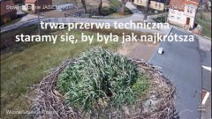 IMG_2997.jpeg