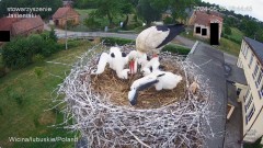 IMG_3146.jpeg