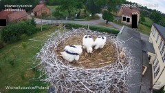 IMG_3154.jpeg