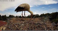 IMG_7047.jpeg