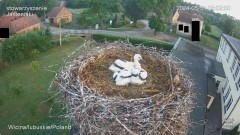 IMG_3169.jpeg