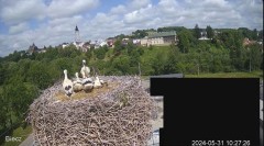 2024-05-31 21_27_07-Biecz gniazdo bocianów - YouTube – Maxthon.jpg