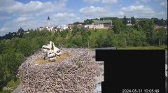 2024-05-31 21_27_24-Biecz gniazdo bocianów - YouTube – Maxthon.jpg