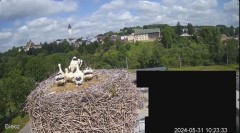 2024-05-31 21_27_33-Biecz gniazdo bocianów - YouTube – Maxthon.jpg