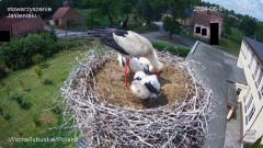 IMG_3355.jpeg