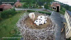 IMG_3377.jpeg