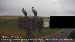 IMG_3400.jpeg