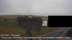 IMG_3431.jpeg