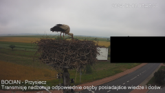 IMG_3439.png