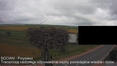 IMG_3443.jpeg