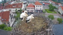 IMG_3430.jpeg