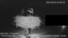 IMG_3462.jpeg