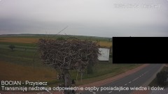 IMG_3467.jpeg