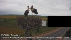 IMG_3482.jpeg