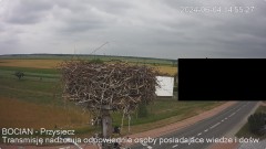 IMG_3518.jpeg