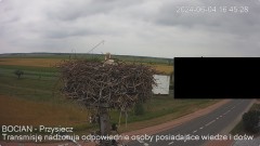 IMG_3551.jpeg