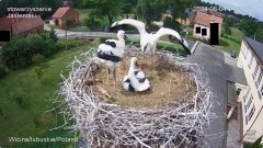 IMG_3507.jpeg