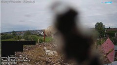 MWSnap 2024-06-04, 14_59_15.jpg