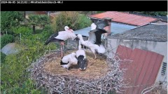 bandicam 2024-06-05 16-21-19-929.jpg