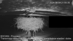 IMG_3572.jpeg