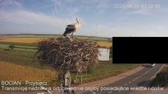 IMG_3605.jpeg