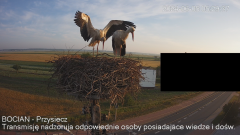 IMG_3583.png