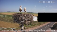 IMG_3628.jpeg