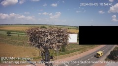 IMG_3650.jpeg