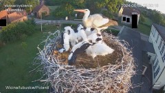 IMG_3588.jpeg