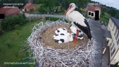 IMG_3674.jpeg