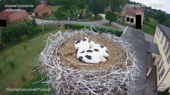 IMG_3720.jpeg