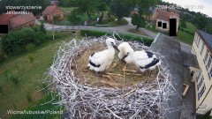 IMG_3725.jpeg