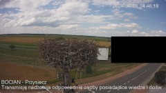 IMG_3847.jpeg