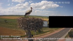 IMG_3870.jpeg