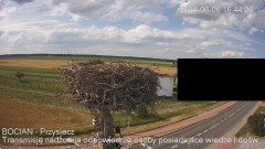 IMG_3876.jpeg