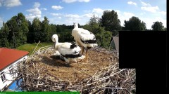 2024-06-05 16_13_08-Aktualności - Zespół Szkół w Raniżowie – Maxthon.jpg